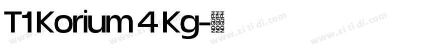 T1 Korium 4 Kg字体转换